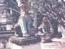 ko samui