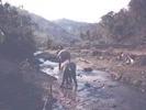trekking