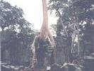 Angkor Wat