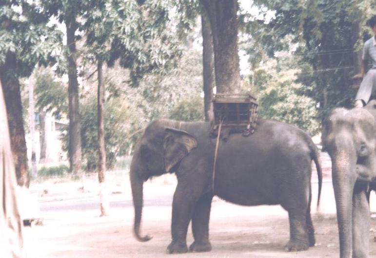 Angkor Wat
