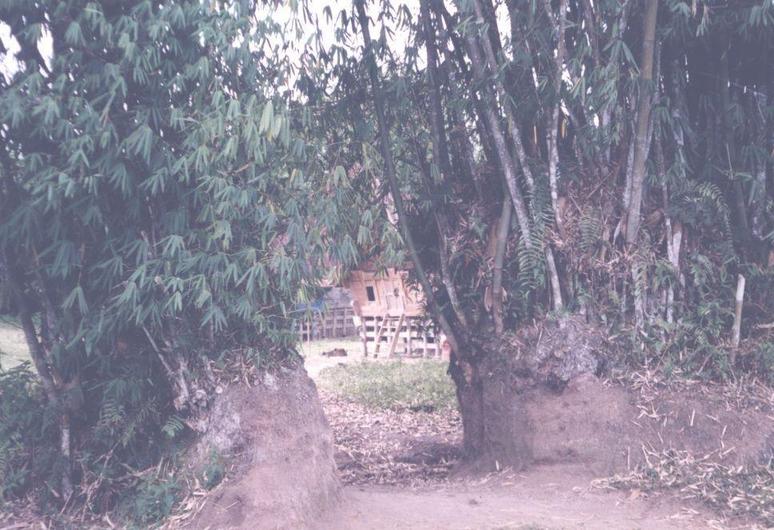 Lake Toba