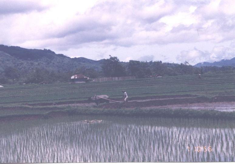 Sumatra