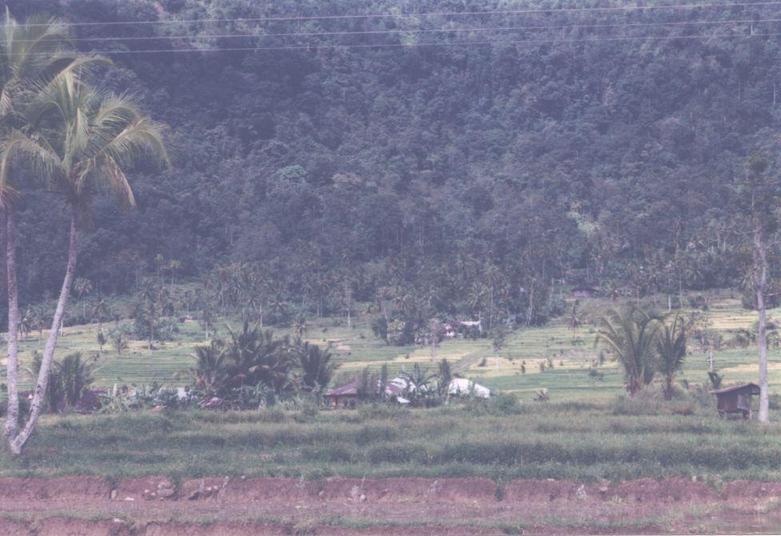 Sumatra