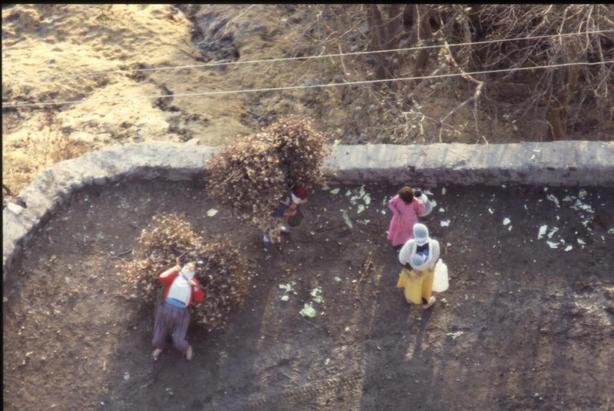 portatici di cotone