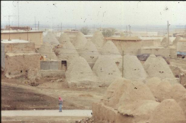 Harran(2)