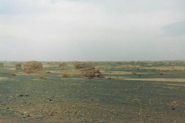 Sulla strada(5)