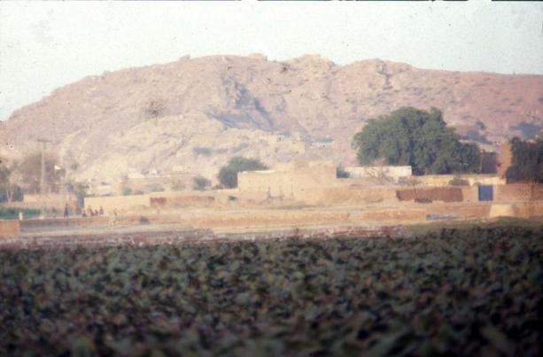 Panorama