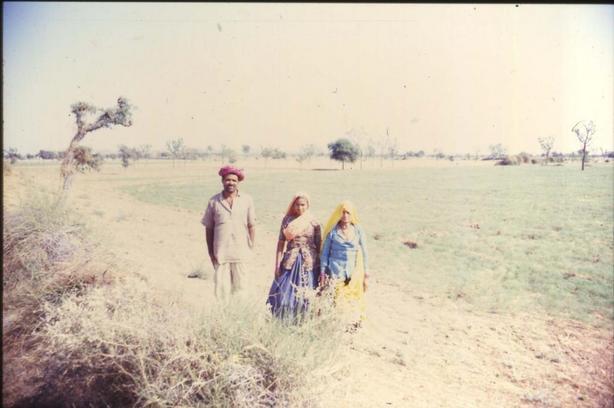 Famigliola Rajastana