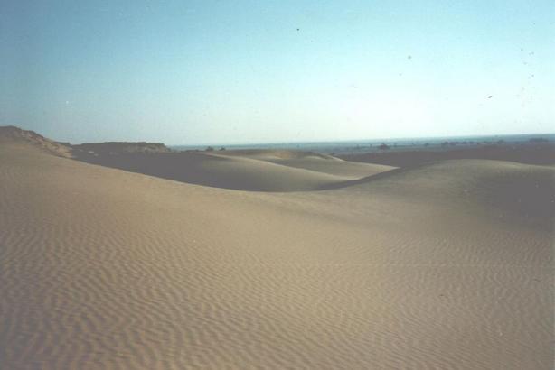 Dune