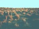 Deserto