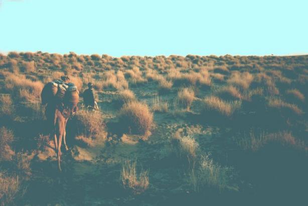 Deserto