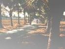 Goa(4)