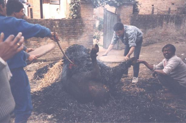 Bufalo alla fiamma