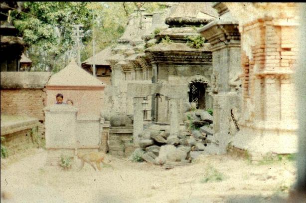 Pashupatinath(5)